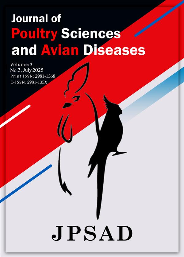 Vol. 3 No. 3 (2025)