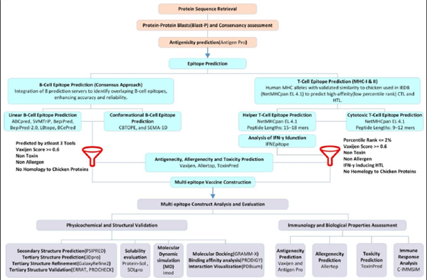 Immunoinformatics-driven design of a conserved RNA-dependent RNA polymerase-b...