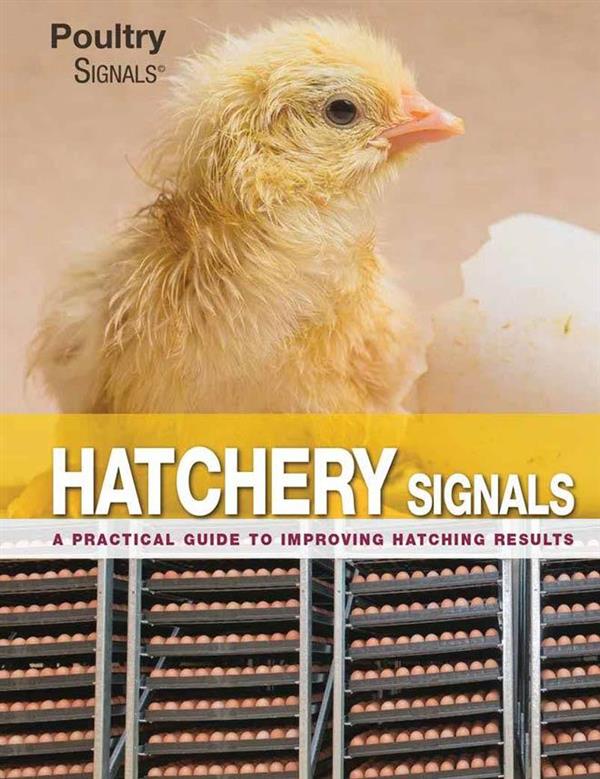 Hatchery Signals