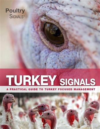 Turkey Signals