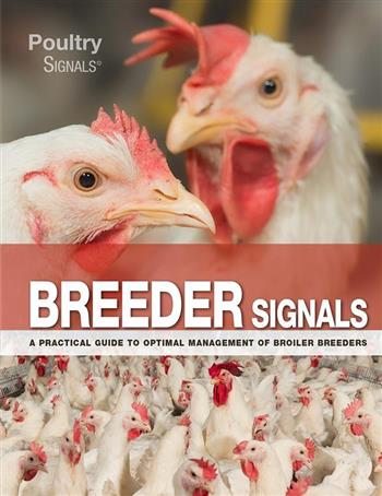 Breeder Signals