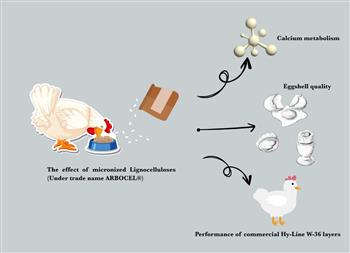 Effects of quantum dot zinc oxide, nano zinc oxide and zinc oxide on genes ...