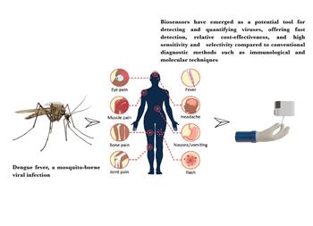 Dengue Fever and Novel Detection Methods Based on Biosensors